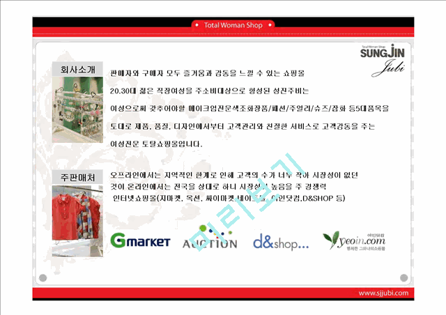 [사업계획서] 토탈여성쇼핑몰 성진주비 회사소개서   (4 )